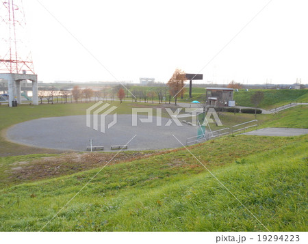荒川河川敷 19294223