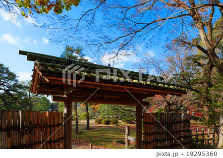 六義園の紅葉と新しい竹作りの門 19295360