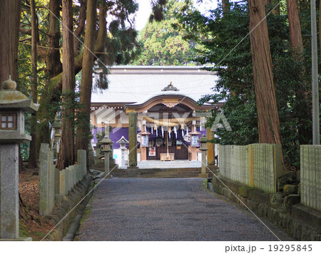 東大野八幡神社 19295845