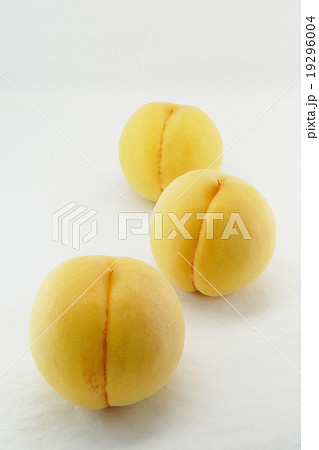 黄色い桃 黄色い桃 19296004