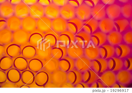Blurred bright orange bubbles Blurred bright orange bubbles 19296917
