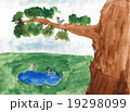 Children colored drawing on paper - tree and birds 19298099