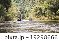 view form wild 19298666