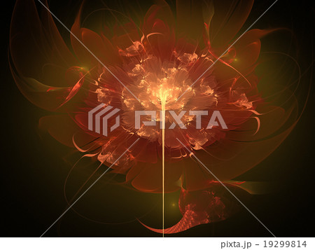 Fractal flower Fractal flower 19299814