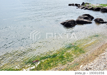 ジオパーク・洞爺湖 ジオパーク・洞爺湖 19301056