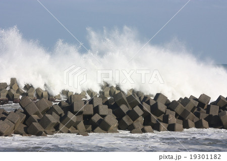 12月の富山湾　富山県入善町 19301182