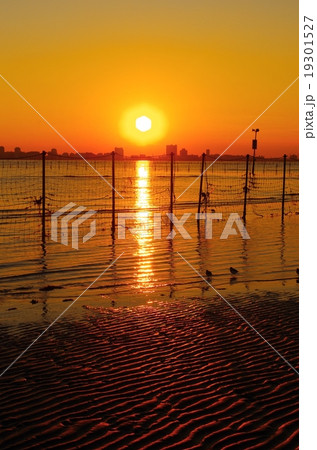 ふなばし三番瀬海浜公園の夕暮れ 19301527