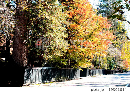 秋の角館 19301814