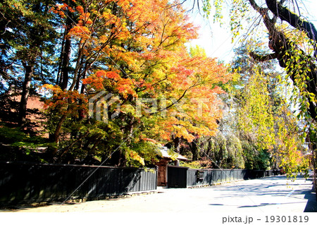 秋の角館 19301819