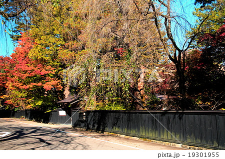 紅葉の角館 19301955