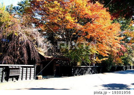 紅葉の角館 19301956