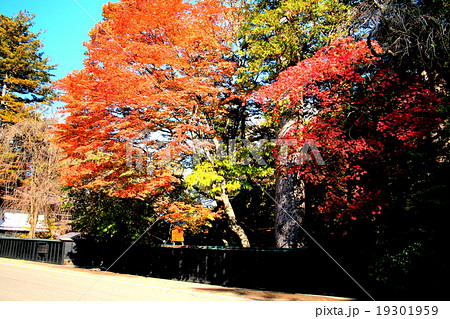 紅葉の角館 19301959