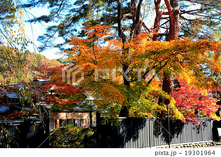 紅葉の角館 19301964