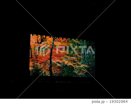 世界遺産 平泉 中尊寺の紅葉 世界遺産 平泉 中尊寺の紅葉 19302064