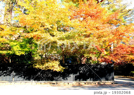 紅葉の角館 19302068