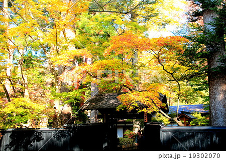 紅葉の角館 19302070