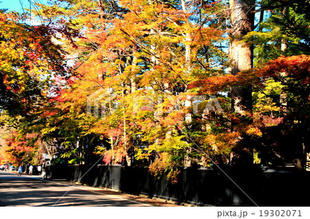 紅葉の角館 19302071