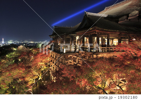 紅葉に彩られた清水寺ライトアップ（閉門前） 19302180