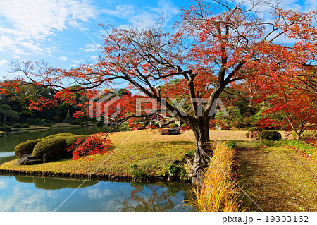 六義園の紅葉と湖面に映える景観 19303162