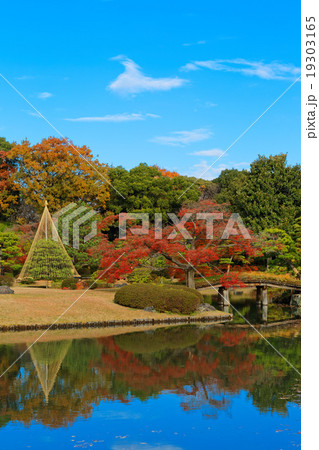 六義園の紅葉と湖面に映える景観 19303165