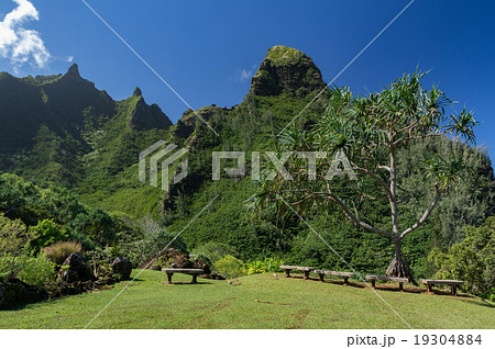 マカナとリマフリ マカナとリマフリ 19304884