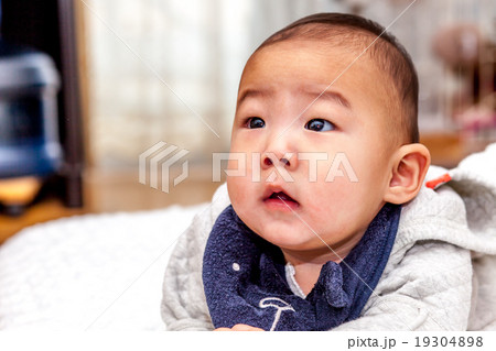 ハイハイするあかちゃん 19304898
