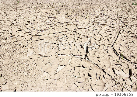 Dried Ground 19306258