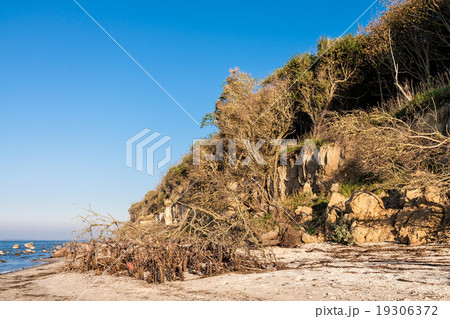 Baltic Sea coast 19306372