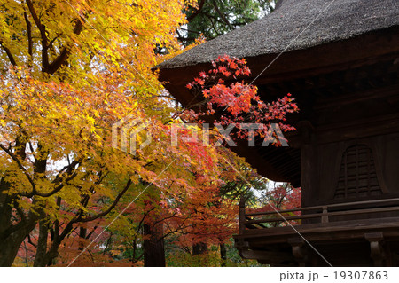 平林寺の山門と紅葉 19307863