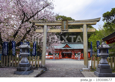 阿須賀神社 19308677