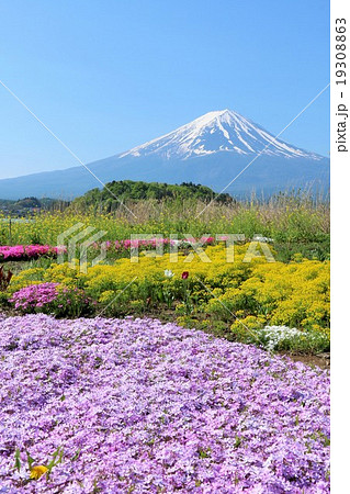 初夏の綺麗な富士山風景の写真素材