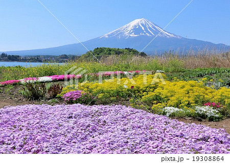 初夏の綺麗な富士山風景の写真素材