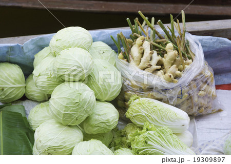 Pile of cabbages and gingers 19309897