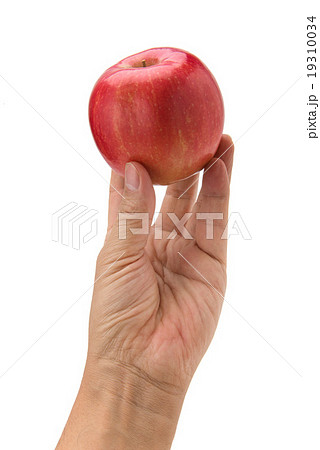 握ったリンゴ 19310034