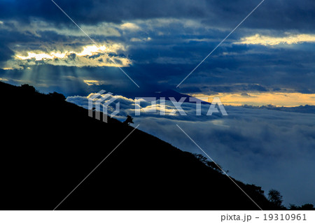 差し込む朝日と雲海3 19310961