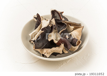 きくらげ きのこ 薬膳 Jew's-ear medicinal herbs きくらげ きのこ 薬膳 Jew's-ear medicinal herbs 19311052