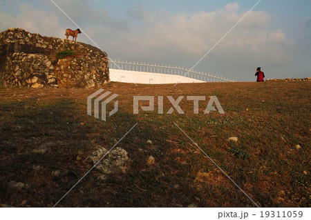 台湾　高雄　丘の風景 19311059