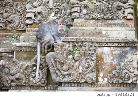 Monkey on stone carving in Bali, Indonesia Monkey on stone carving in Bali, Indonesia 19313221