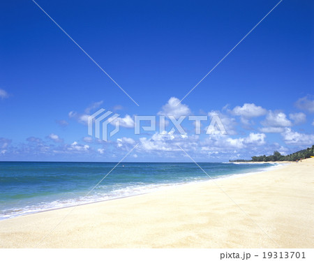 ノースショアのビーチ　オアフ島 19313701