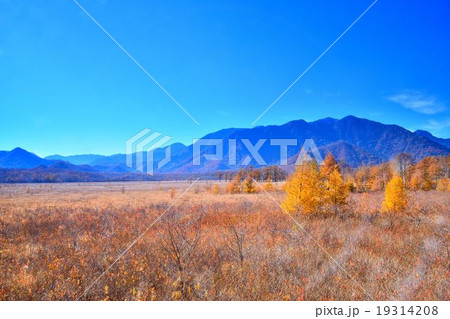 秋の戦場ヶ原奥日光 秋の戦場ヶ原奥日光 19314208