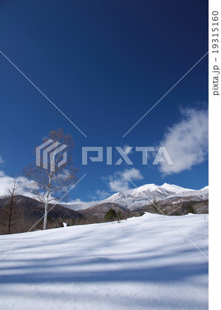 冬の乗鞍高原と乗鞍岳 19315160