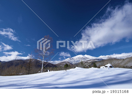 白銀の乗鞍高原と乗鞍岳 19315168
