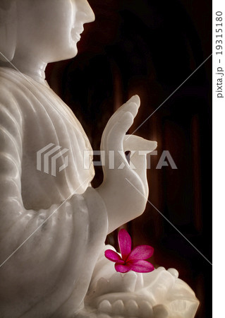 Flower in Buddha hand Flower in Buddha hand 19315180