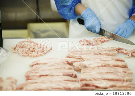 肉 19315596