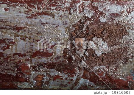 wood texture with paint and varnish wood texture with paint and varnish 19316602