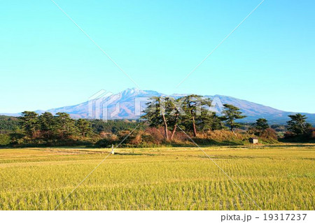 鳥海山 19317237