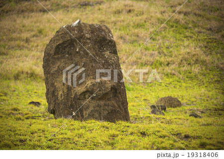 Easter island Easter island 19318406