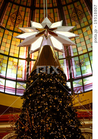 Green Christmas tree Green Christmas tree 19318807