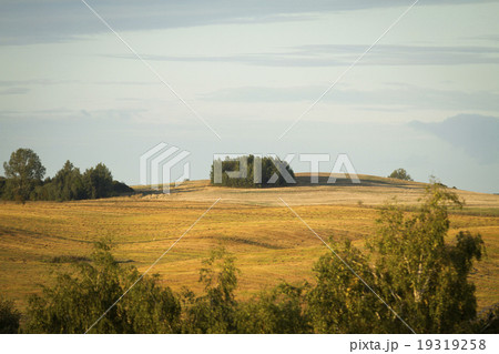 autumn hills autumn hills 19319258