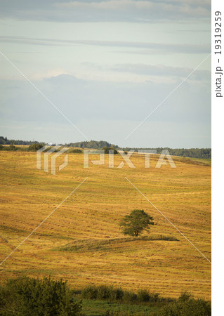 autumn hills 19319259